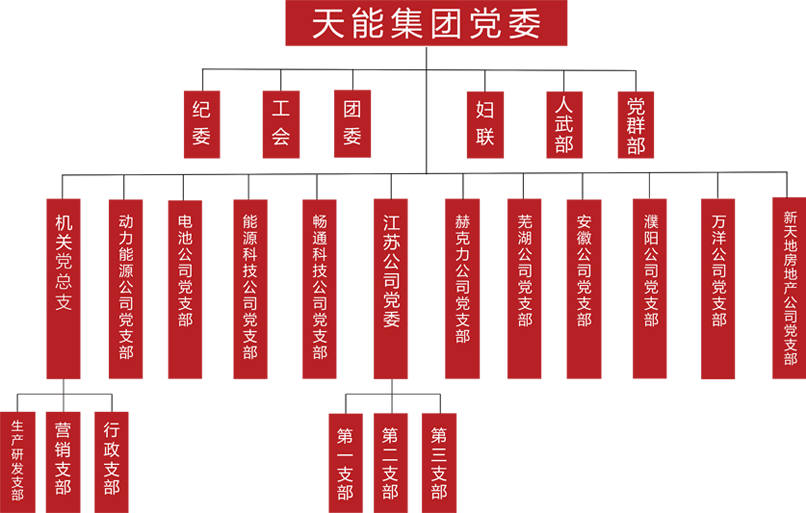 人生就是搏建团党委组织架构